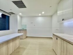 Mount Elizabeth Hospital (D9), Retail #484101411